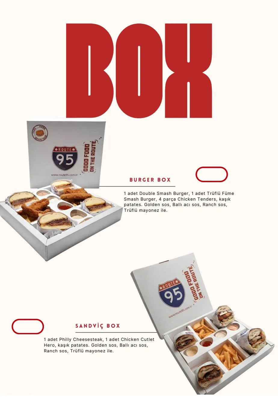 Route95 · sayfa 14