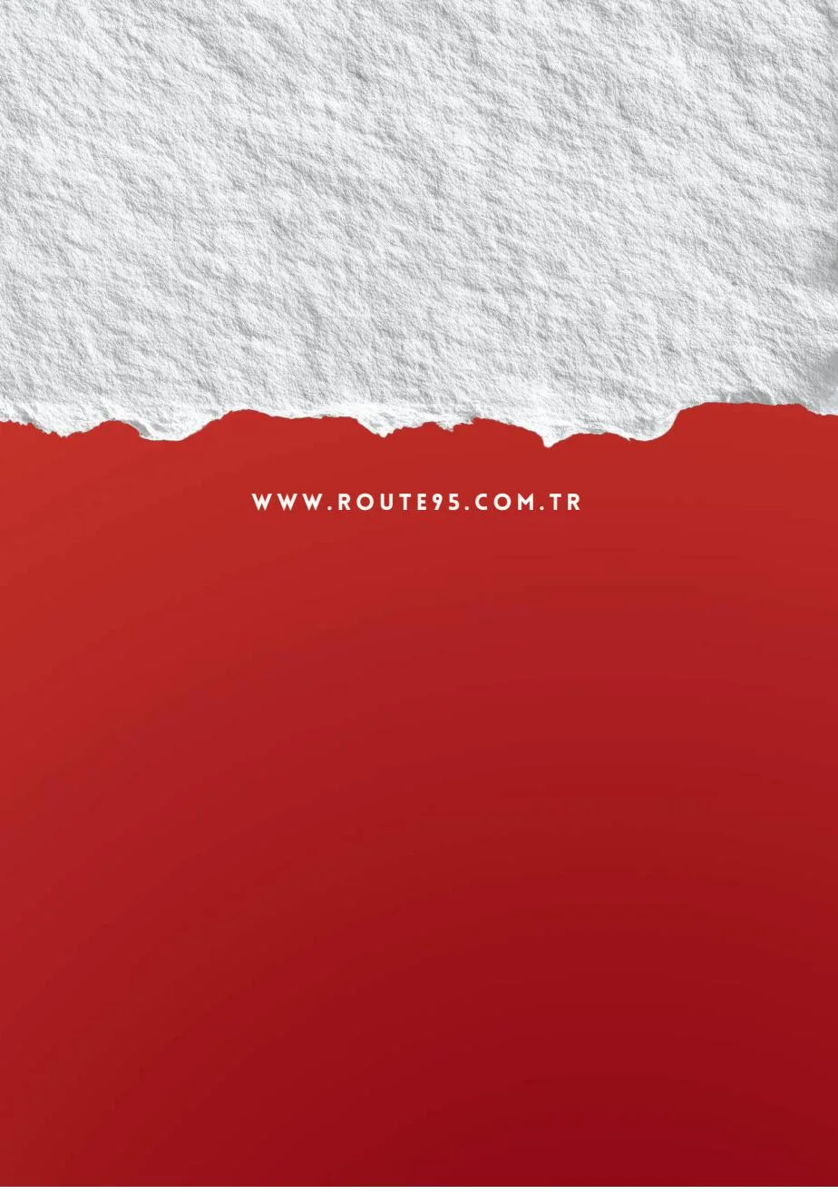 Route95 · sayfa 20